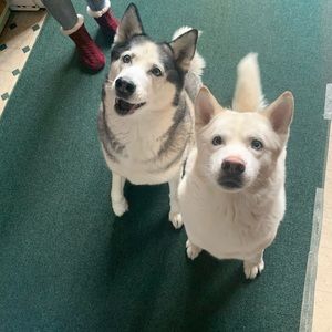 Meet your Posher, Tasha